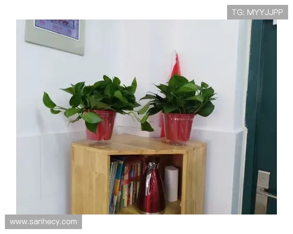 与刘芳畅聊CSGO职业生涯的点滴与挑战