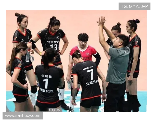 北京排球队技术争议引发热议球迷与专家观点碰撞激烈