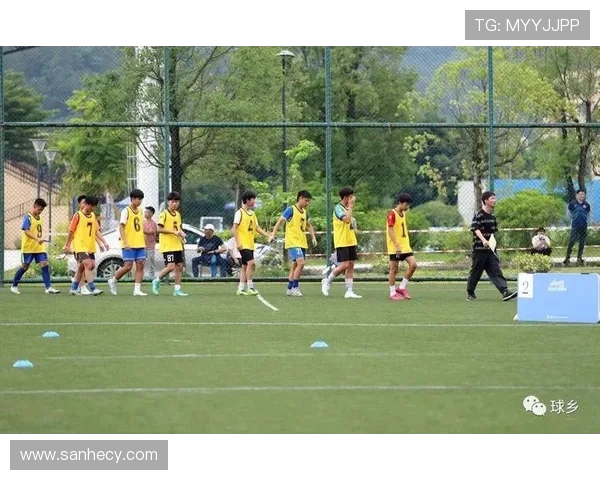 广州足球队速度之争引发热议球迷观点各异探讨战术与表现