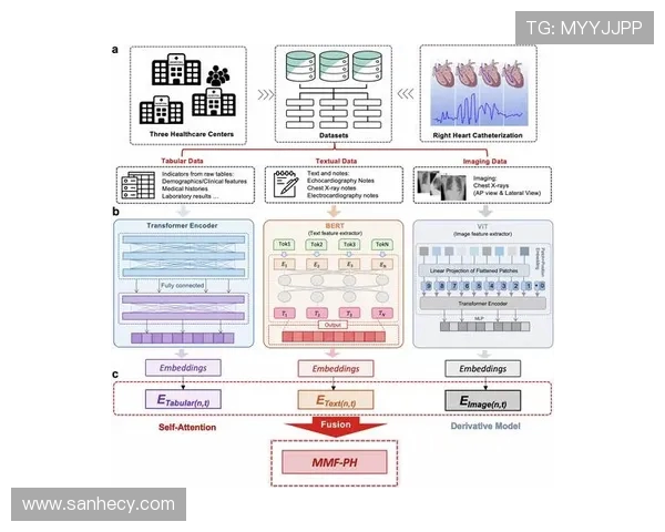 杭州飞盘队意识表现分析：数据揭示团队协作与个人能力的关系