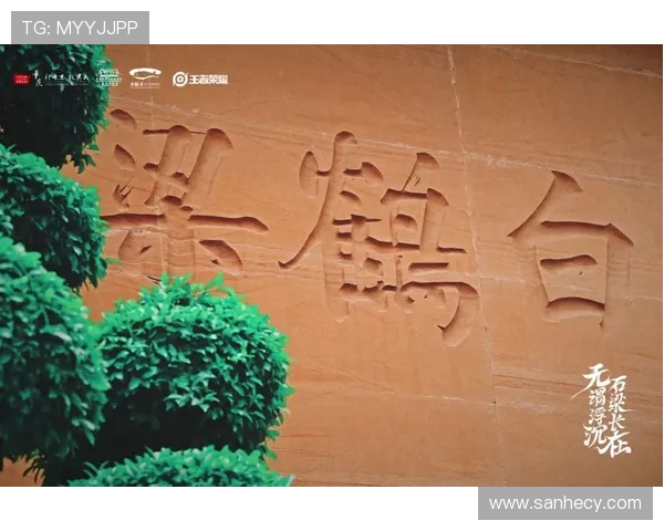 重庆攀岩队的奋斗与荣耀：一段不屈不挠的攀岩之旅纪实